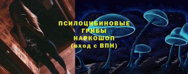 ГАЛЛЮЦИНОГЕННЫЕ ГРИБЫ Протвино