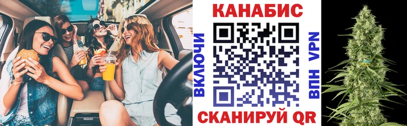 Конопля ГИДРОПОН  как найти наркотики  Алагир 